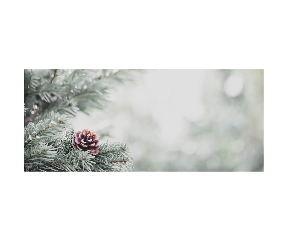 Setting Healthy Boundaries During the Holidays: A Guide to Peace and Joy